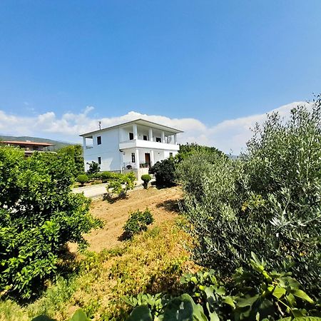 Villa Besart Berat Buitenkant foto